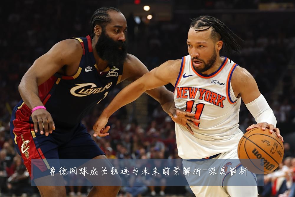 鲁德网球成长轨迹与未来前景解析-深度解析
